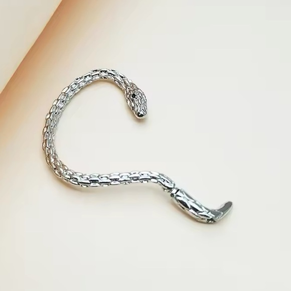 Vintage Snake Gothic Style Stainless Steel Earring - Left - Picture 8 of 8